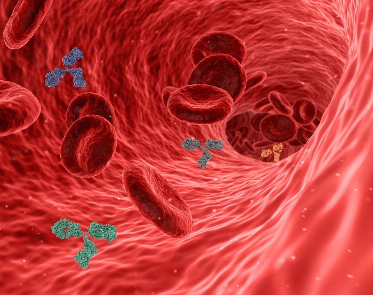 erfahren sie alles über das immunsystem: funktionen, bedeutung für die gesundheit und wie sie ihre immunabwehr mit einfachen tipps stärken können.