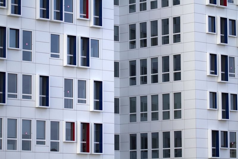 Warum gilt Fritz Elsas als Pionier der deutschen Stadtmodernisierung?